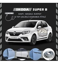 Symbol Thalia Oto Araç Kapı Koruma Fitili 5metre Parlak Gri Renk