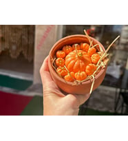 BALKABAĞI MUMLUK,DEKORATIF MUMLUK
