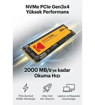 X300s 256GB M.2 NVMe SSD 2280 – 2000MB/s Yüksek Hızlı Dahili SSD Disk
