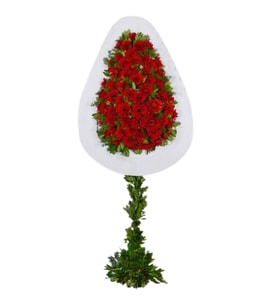 KIRMIZI GERBERA ÇELENK