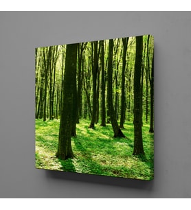 ORMAN KANVAS TABLO 200x200cm