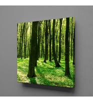 ORMAN KANVAS TABLO 200x200cm