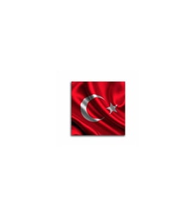DBSanatevi Dalgalanan Türk Bayrağı Tablo 50 X 70 Cm