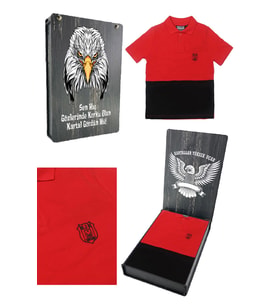 Beşiktaş Orijinal Polo Yaka Çocuk T-shirt Hediyelik Ahşap Kutulu (Kırmızı)