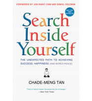 Search Inside Yourself: The Unexpected Path To Achieving Success, Happiness (And World Peace)