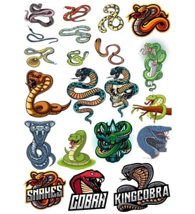 Yılan Cobra Sticker-2 17 Parça Telefon, Tablet, Defter, Laptop Sticker