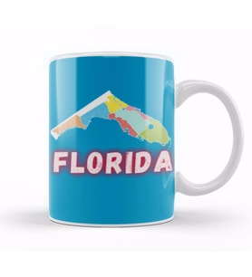 Florida   Vintage Retro Rainbow Kupa Bardak Porselen