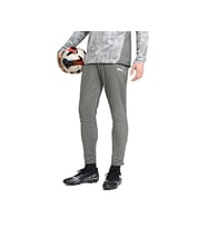 Puma Teamcup Training Pants Erkek Futbol Eşofman Altı 65917513 Gri
