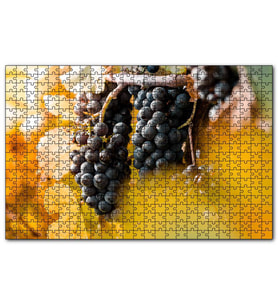 Cakapuzzle Asma Dalında Kara Üzümler  Puzzle Yapboz MDF (Ahşap) (120 Parça)
