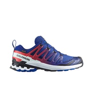 Salomon Xa Pro 3D V9 Gore-Tex Erkek Outdoor AyakkabısıL47982600 Lacivert