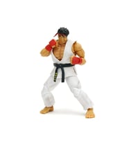 9334215314R00 Street Fighter II Ryu 6 Figure