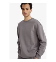 Defacto Boxy Fıt Pike Gri Erkek Sweatshirt E1519AX/GR206