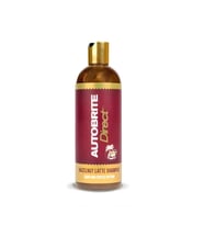 Auto Brite Hazelnut Latte Aromalı Araç Yıkama Şampuanı 500 ML
