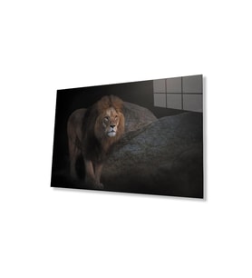 Aslan Cam Tablo 4mm Dayanıklı Temperli Cam (Çok Renkli)