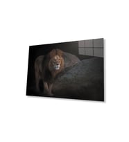 Aslan Cam Tablo 4mm Dayanıklı Temperli Cam (Çok Renkli)