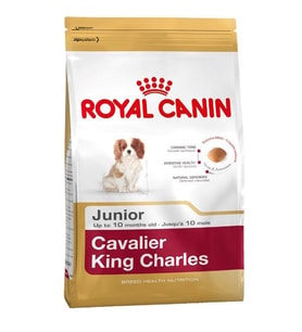 Royal Canin Junior Cavalier King Charles Yavru Köpek Maması 1,5 Kg