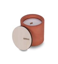 Cereus Inytium Cirikhas Sandal Ağacı Kokulu Soya Mum (210 Gr)
