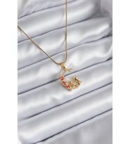 316L Çelik Gold Renk Hilal Kedi Model Zirkon Taşlı Detay Kadın Kolye 5886 - HPSBYI8013-1055