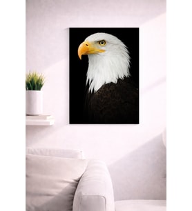 EAGLE20 TASARIM MDF TABLO (27X18)