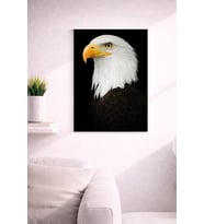 EAGLE20 TASARIM MDF TABLO (27X18)