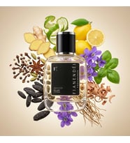 FIANENDÉI PARFUMS M-Y1 SPECIAL PARFUM 50 ML