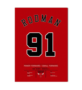 Dennis Rodman Forma Kanvas Tablo 40x55cm NBA Chicago Bulls Jersey