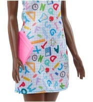 Barbie Kariyer Bebekleri Öğretmen Bebek HBW97 FWK89