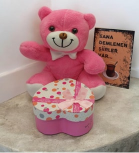 Pembe Ayıcık Ve Hediye Kutusu 2