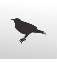 Folyo Sticker Bülbül 70cm Uzunluk (Karışık)