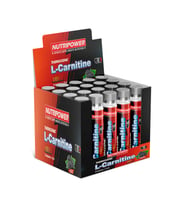 Nutripower Thermogenic L-Carnitine 3000mg – 20'li Shot Ampul – Böğürtlen Aromalı Yağ Yakım Desteği