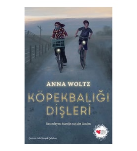 Köpekbalığı Dişleri
