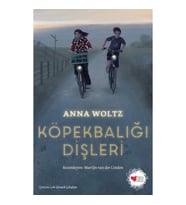 Köpekbalığı Dişleri