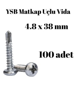 Yıldız Silindir Başlı 4.8x38 YSB Matkap Uçlu Akıllı Vida 100 Adet