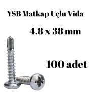 Yıldız Silindir Başlı 4.8x38 YSB Matkap Uçlu Akıllı Vida 100 Adet