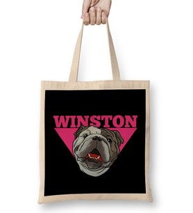 Winston Bulldog Smith Bez Çanta Uzun Saplı