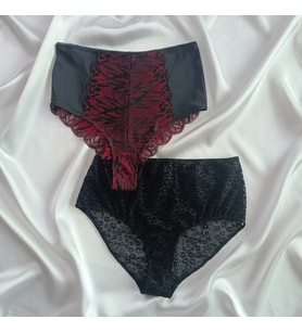 Kadın Yüksek Bel 2'li Paket Slip Külot BB2176