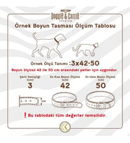 Cattie Gerçek Deriden El Yapımı Reflektörlü Kedi Boyun Tasması 1,2x25-29cm - Camel
