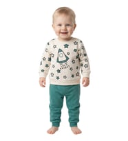 Erkek Çocuk Önü Baskılı Sweatshirt Ve Eşofman Alt Takım BGL-ST05253 (Açık Yeşil)