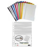 10 Renk Telli Dosya ve 100 Adet Poşet Dosya 1 Paket 10 lu Telli Dosya Poşet Dosya Okul Büro Ofis (Çok Renkli)