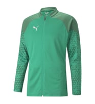Puma Team Cup Antrenman Ceketi - 2023 - (Yeşil)