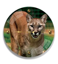 Puma Cam Saat - 40 cm