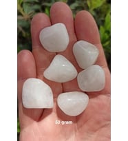 50 Gram Süt Kuvars Tamburlu Parçalar 643