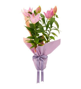 MOR BUKETTE PEMBE LİLYUM