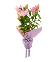 MOR BUKETTE PEMBE LİLYUM