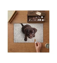 Labrador Yavrusu - Sevimli Köpek Tasarımı 240 parça Ahşap Puzzle Ahşap Kutuda MP04163