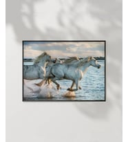 Denizdeki Atlar Poster (Çok Renkli)