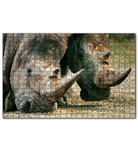 Cakapuzzle Efsanevi Gergedanlar Yakın Çekim Puzzle Yapboz MDF (Ahşap) (120 Parça)