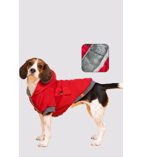 Köpek Kıyafeti -  Su geçirmez köpek montu, Köpek yağmurluğu Kırmızı