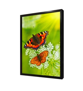 Kelebek Çerçeveli Mdf Tablo