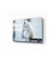 Miyrem Glasses Collection -A1^#  Beyaz Kedi Cam Tablo (Çok Renkli)